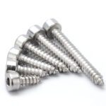 Cylinder Head Hex Socket Self Tapping Screw - Fengling Fastener