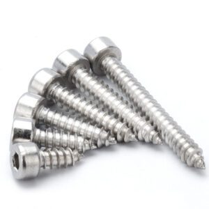 Cylinder Head Hex Socket Self Tapping Screw - Fengling Fastener