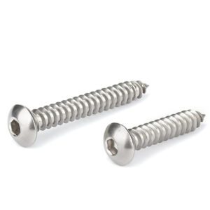 Pan Head Hex Socket Self Tapping Screw - Fengling Fastener