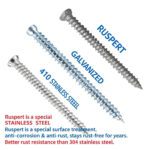 Self Cutting Screws